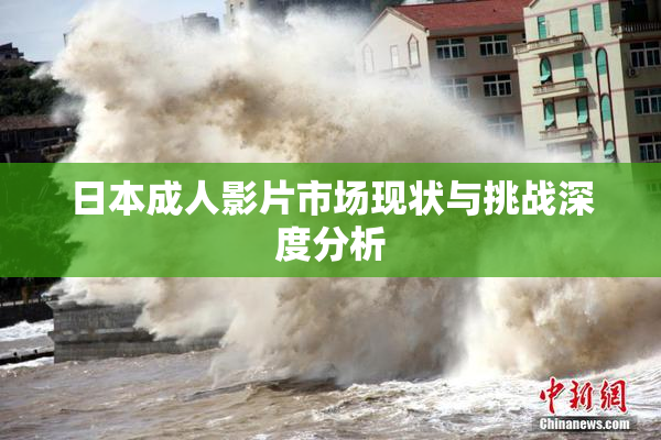 日本成人影片市场现状与挑战深度分析