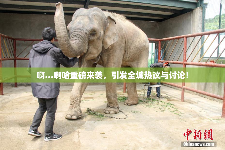 啊…啊哈重磅来袭，引发全城热议与讨论！