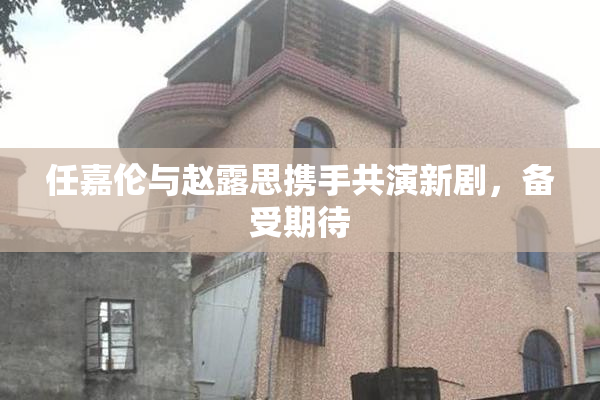 任嘉伦与赵露思携手共演新剧，备受期待