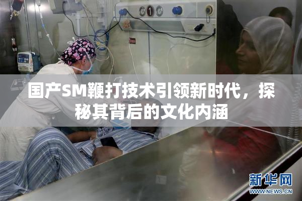 国产SM鞭打技术引领新时代，探秘其背后的文化内涵
