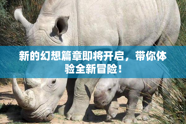新的幻想篇章即将开启，带你体验全新冒险！