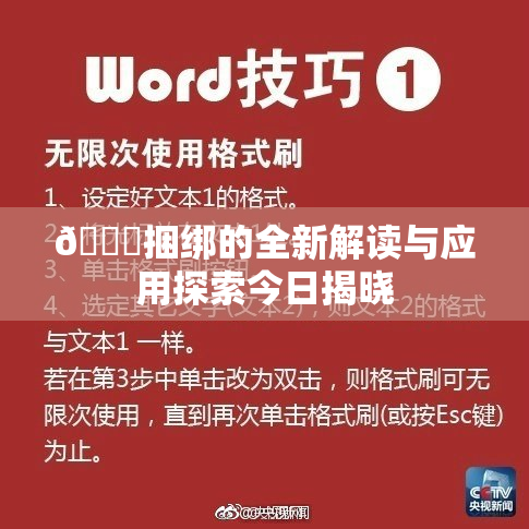 🔞捆绑的全新解读与应用探索今日揭晓