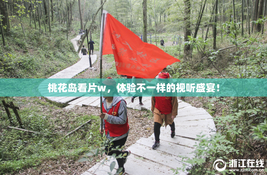 桃花岛看片w，体验不一样的视听盛宴！