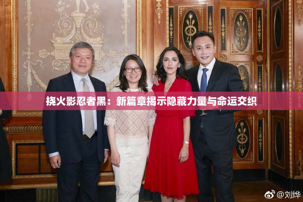 挠火影忍者黑：新篇章揭示隐藏力量与命运交织
