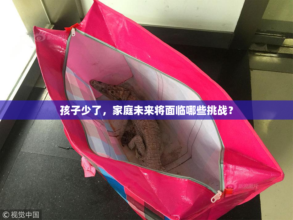 孩子少了，家庭未来将面临哪些挑战？