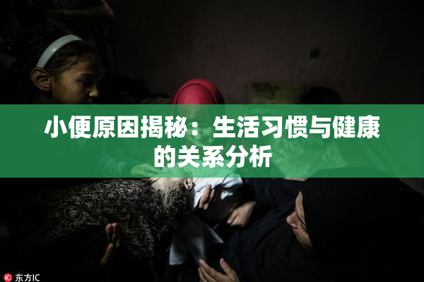 小便原因揭秘：生活习惯与健康的关系分析