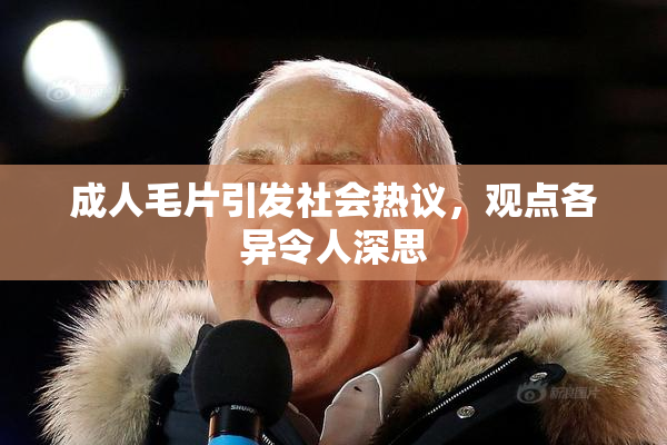 成人毛片引发社会热议，观点各异令人深思