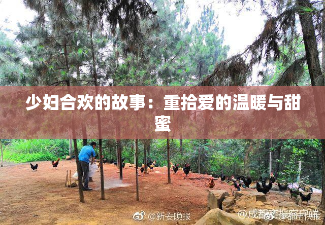 少妇合欢的故事：重拾爱的温暖与甜蜜