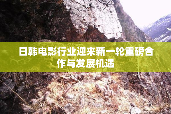 日韩电影行业迎来新一轮重磅合作与发展机遇