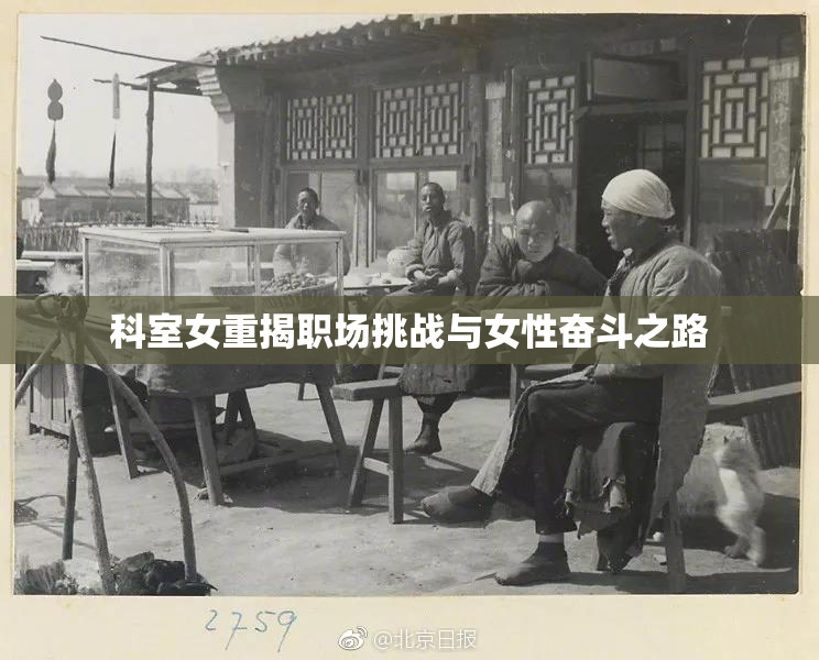 科室女重揭职场挑战与女性奋斗之路