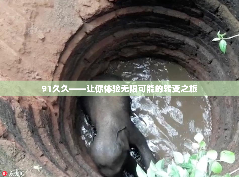 91久久——让你体验无限可能的转变之旅