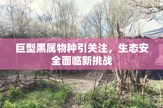巨型黑属物种引关注，生态安全面临新挑战