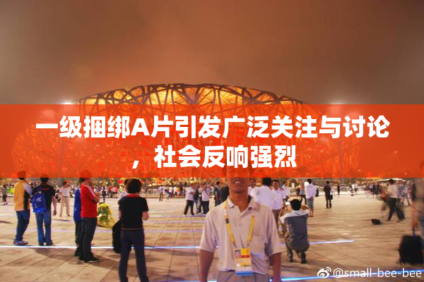 一级捆绑A片引发广泛关注与讨论，社会反响强烈