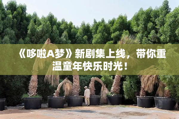《哆啦A梦》新剧集上线，带你重温童年快乐时光！