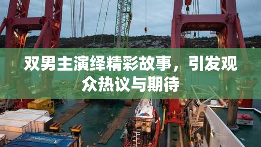 双男主演绎精彩故事，引发观众热议与期待