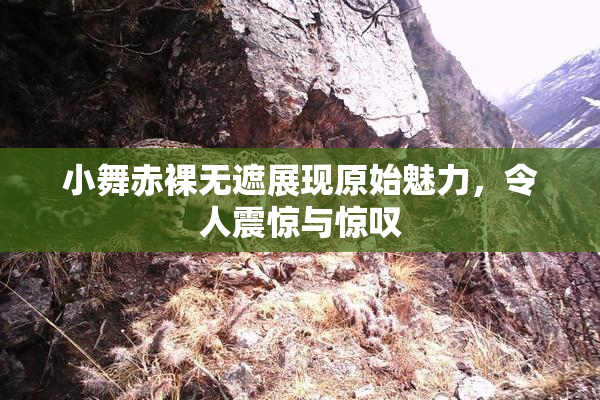 小舞赤裸无遮展现原始魅力，令人震惊与惊叹