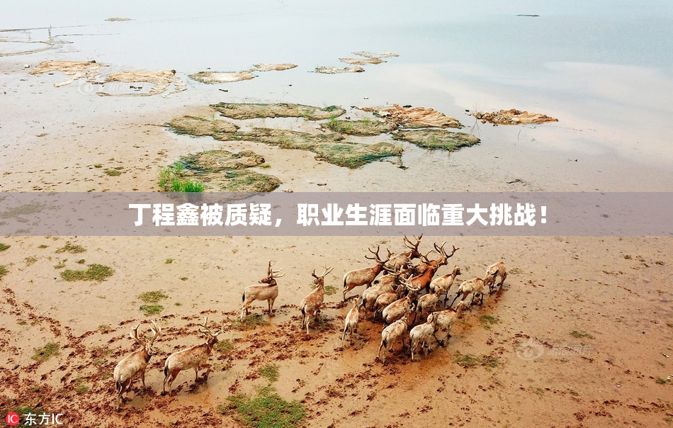 丁程鑫被质疑，职业生涯面临重大挑战！
