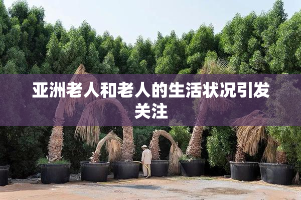亚洲老人和老人的生活状况引发关注