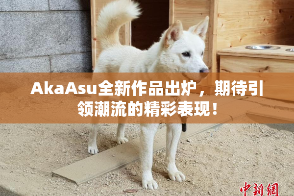 AkaAsu全新作品出炉，期待引领潮流的精彩表现！