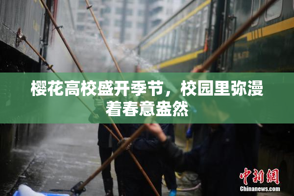 樱花高校盛开季节，校园里弥漫着春意盎然