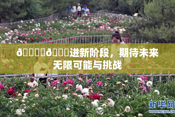 🔞‌🍌进新阶段，期待未来无限可能与挑战