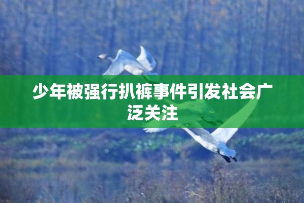 少年被强行扒裤事件引发社会广泛关注