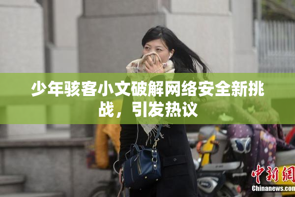 少年骇客小文破解网络安全新挑战，引发热议