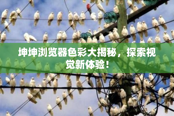 坤坤浏览器色彩大揭秘，探索视觉新体验！