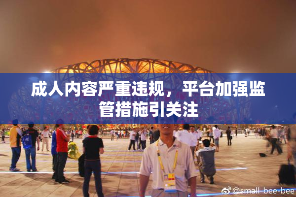 成人内容严重违规，平台加强监管措施引关注