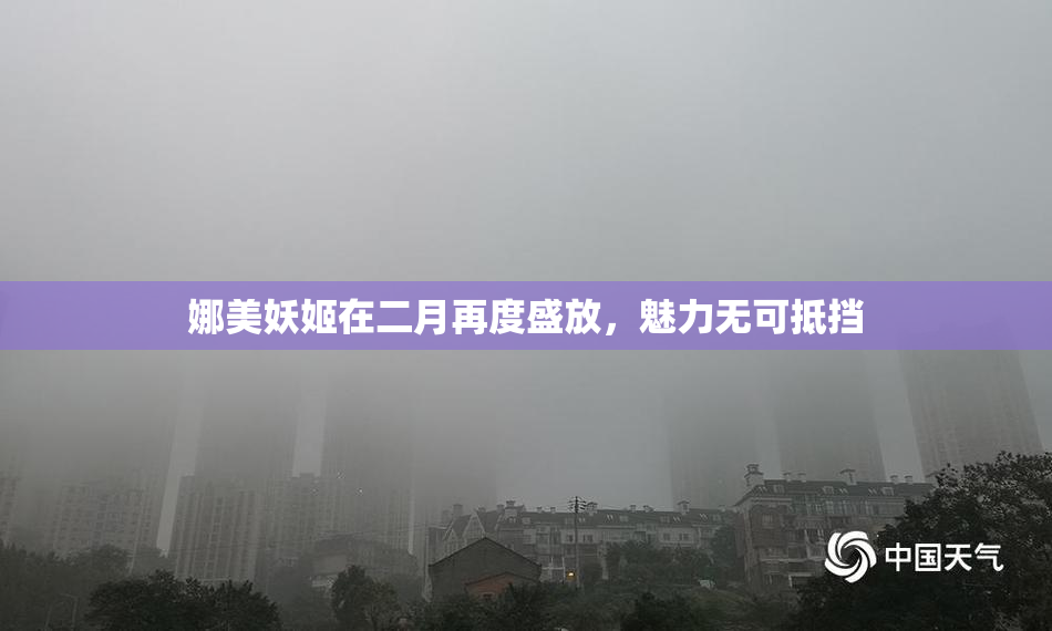 娜美妖姬在二月再度盛放，魅力无可抵挡