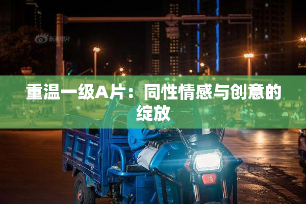 重温一级A片：同性情感与创意的绽放