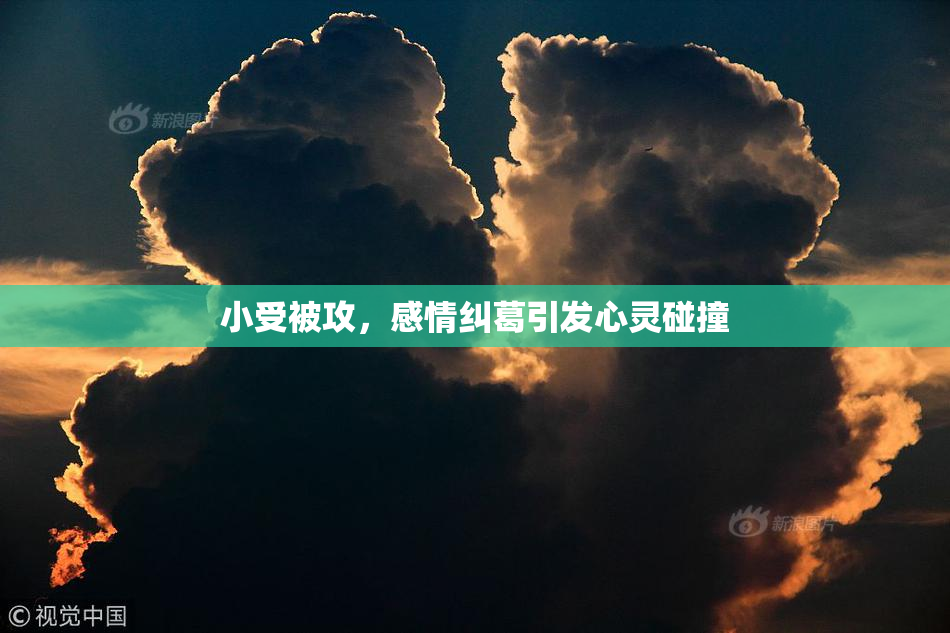 小受被攻，感情纠葛引发心灵碰撞
