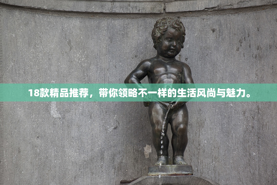 18款精品推荐，带你领略不一样的生活风尚与魅力。