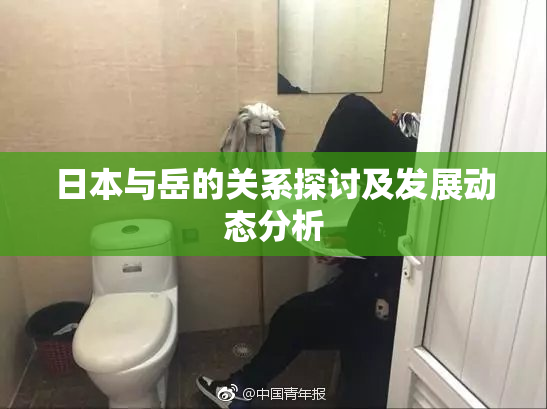 日本与岳的关系探讨及发展动态分析