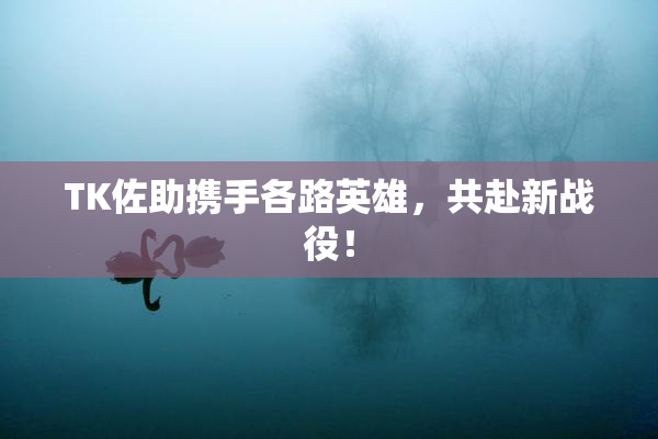 TK佐助携手各路英雄，共赴新战役！