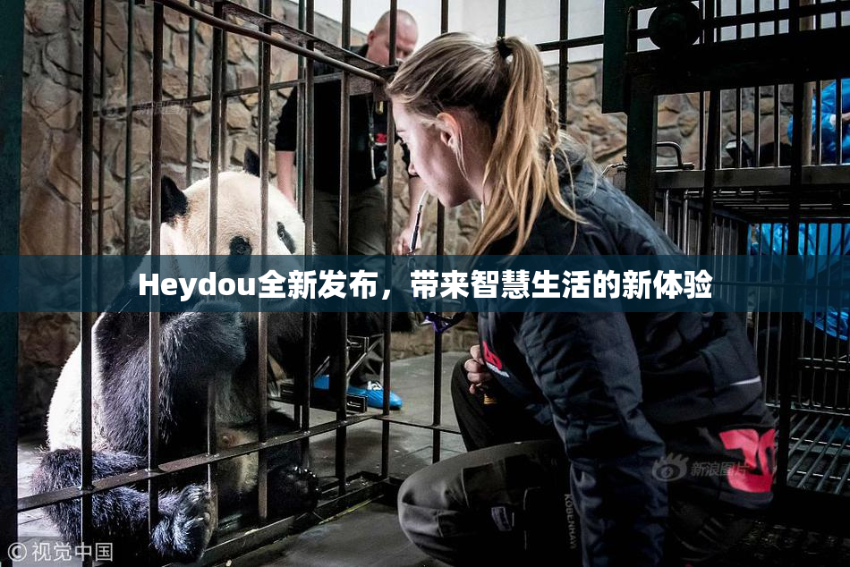 Heydou全新发布，带来智慧生活的新体验