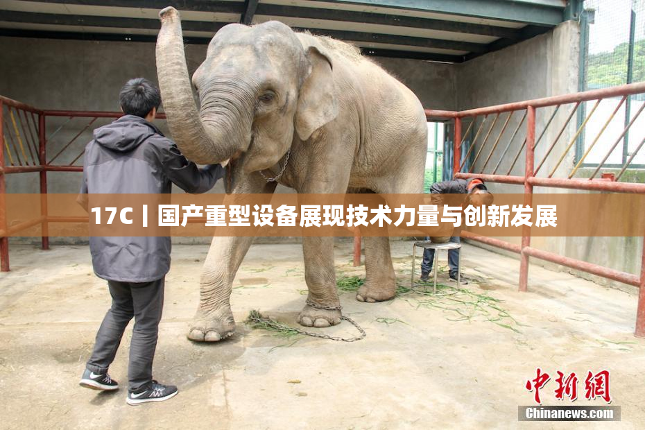17C丨国产重型设备展现技术力量与创新发展