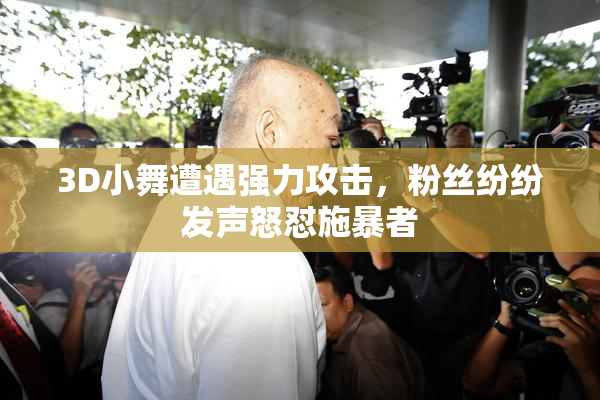 3D小舞遭遇强力攻击，粉丝纷纷发声怒怼施暴者