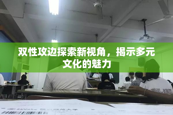 双性攻边探索新视角，揭示多元文化的魅力