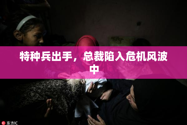 特种兵出手，总裁陷入危机风波中