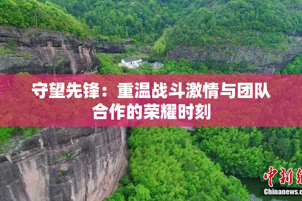 守望先锋：重温战斗激情与团队合作的荣耀时刻