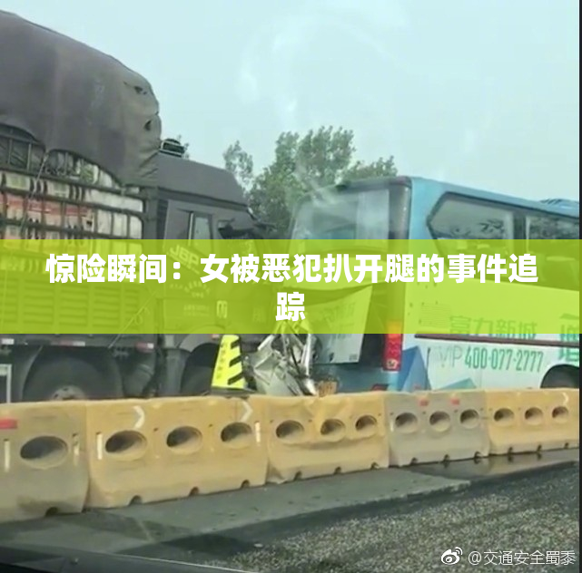惊险瞬间：女被恶犯扒开腿的事件追踪
