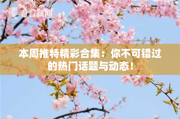 本周推特精彩合集：你不可错过的热门话题与动态！