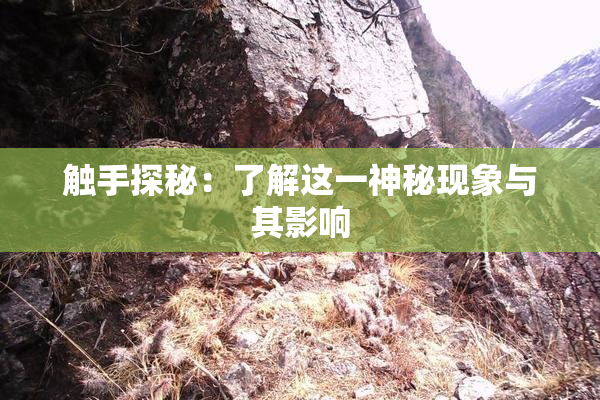 触手探秘：了解这一神秘现象与其影响