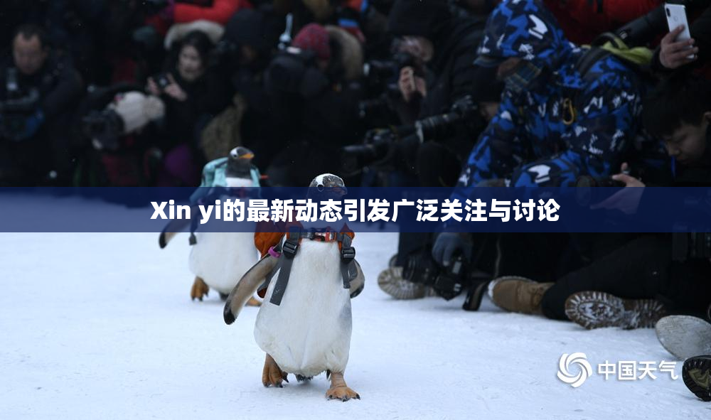 Xin yi的最新动态引发广泛关注与讨论