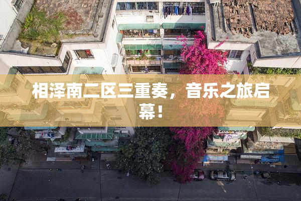 相泽南二区三重奏，音乐之旅启幕！