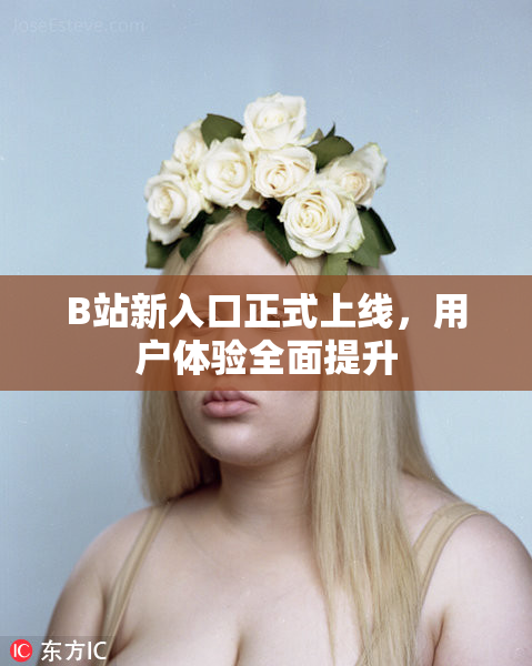 B站新入口正式上线，用户体验全面提升