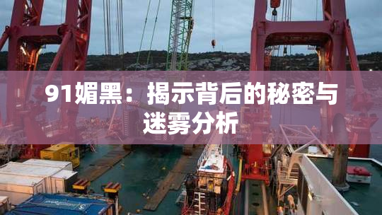 91媚黑：揭示背后的秘密与迷雾分析
