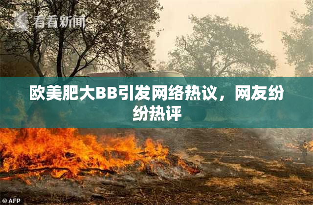 欧美肥大BB引发网络热议，网友纷纷热评