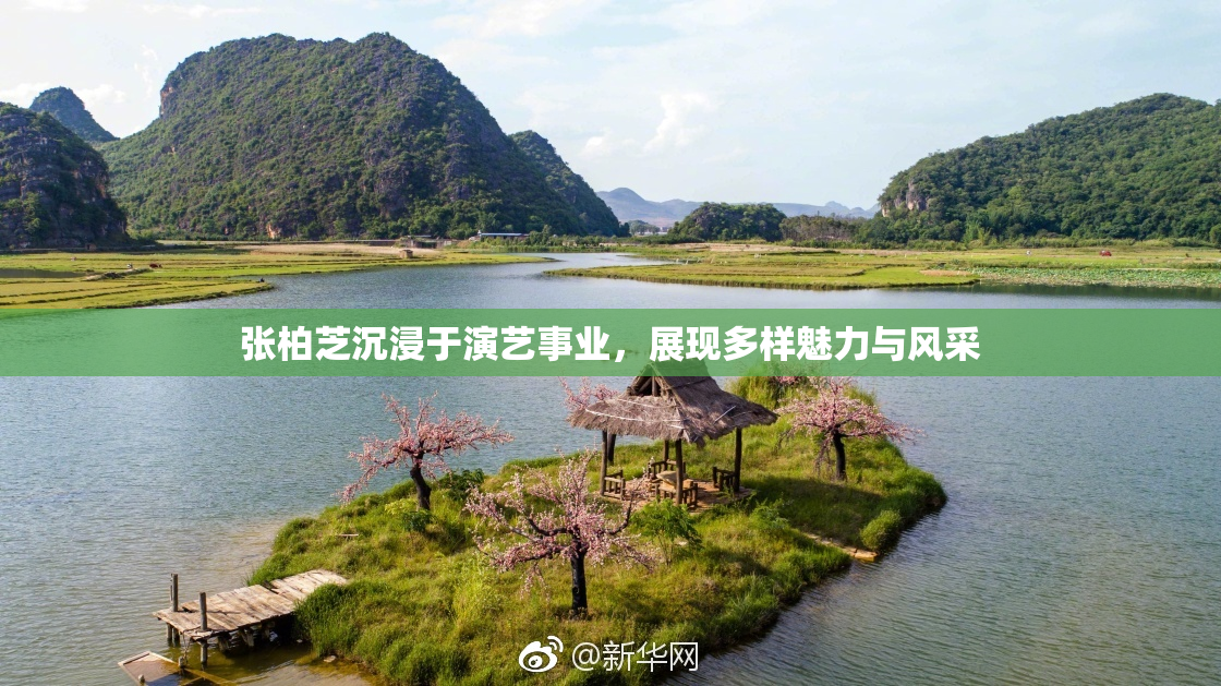 张柏芝沉浸于演艺事业，展现多样魅力与风采